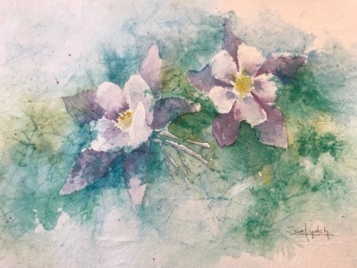 Frolicking-Columbine
