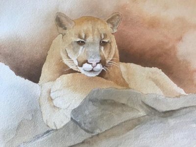 On Watch