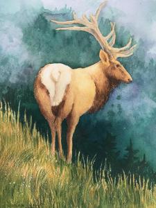 Wapiti at Dusk