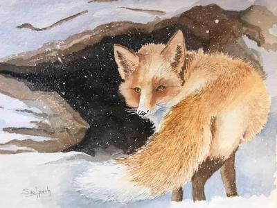 Winter-Haven